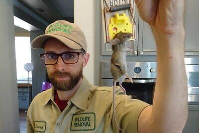 Columbia pest control